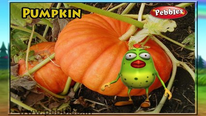 Pumpkin Rhyme | Nursery Rhymes With Lyrics For Kids | Vegetable Rhymes | Rhymes 3D Animation