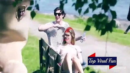 ► Top Most Viral Funny Videos Of All Time #2016 - YouTube