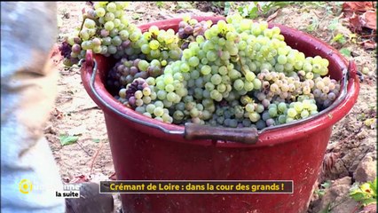 Crémant de Loire : dans la cour des grands!  ,