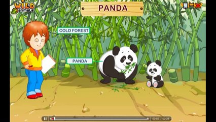 Wild Animals - Teach kids the names of some popular wild animals, their babies and their habitats.