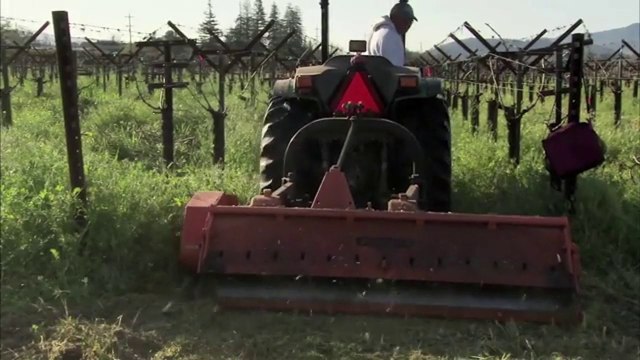 The Importance of Soil in Winemaking