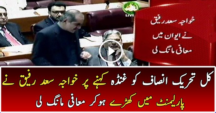 Khawaja Saad Raffique apologizes for Gundagardi remarks