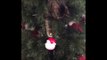 Cat in a Christmas Tree Goes Fishing for Santa Baubles