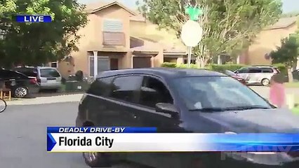 Best Funny News Bloopers November 2016 | Live TV Fails Compilation | News Be Funny Videos