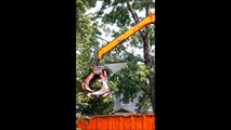Pease Landscaping and Tree Removal - (334) 540-7468