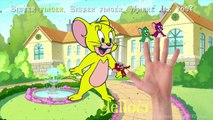 Jerry Finger Family Nursery Rhymes Songs - Learning Colors for Children with Jerry from Tom & Jerry