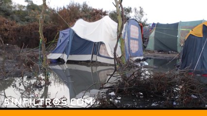 Luces de Calais | Sinfiltros.com