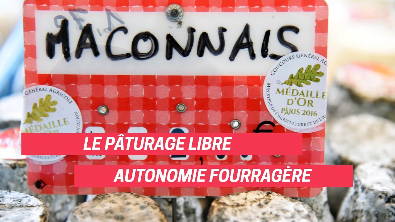 « Faites de l’agro-écologie » : des lycées agricoles engagés !