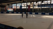 Championnats de France de patinage artistique