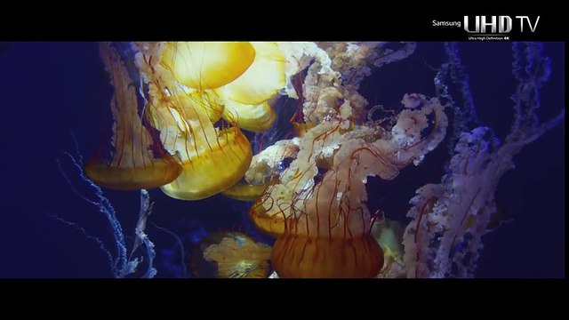 Samsung UHD - Transformers Age Of Extinction (2014) 4K ULTRA HD 2160p 60fps