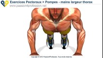Comment muscler pectoraux, POMPES mains largeur thorax, exercices - mains largeur thorax.