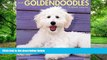 Pre Order Just Goldendoodles 2017 Wall Calendar (Dog Breed Calendars) Willow Creek Press On CD