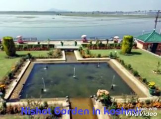 Nishat Garden ( Nishat Bagh)