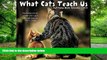 Audiobook What Cats Teach Us 2017 Box Calendar Willow Creek Press Audiobook Download