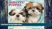 Pre Order Just Shih Tzu Puppies 2017 Wall Calendar (Dog Breed Calendars) Willow Creek Press