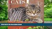Pre Order Just Cats 2017 Wall Calendar Willow Creek Press mp3