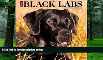 Audiobook Just Rhodesian Ridgebacks 2017 Wall Calendar Dog - 