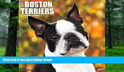 Pre Order Just Boston Terriers 2017 Wall Calendar (Dog Breed Calendars) Willow Creek Press mp3