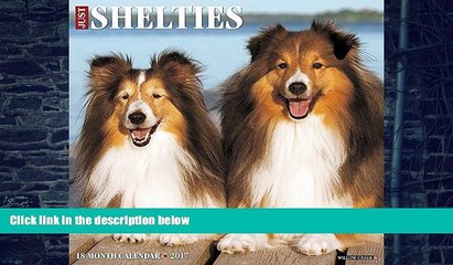 Audiobook Just Shelties 2017 Wall Calendar (Dog Breed Calendars) Willow Creek Press On CD