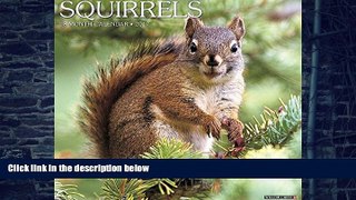 Pre Order Squirrels 2017 Wall Calendar Willow Creek Press mp3