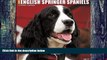 Pre Order Just English Springer Spaniels 2017 Wall Calendar (Dog Breed Calendars) Willow Creek