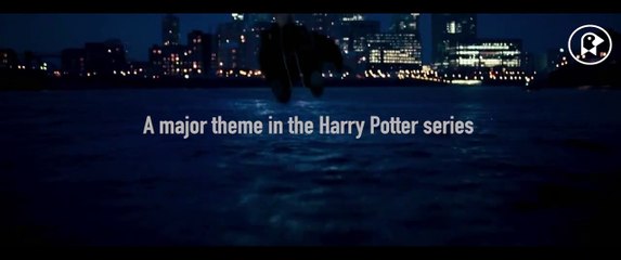 Harry Potter and the Politics of Hate (720p)