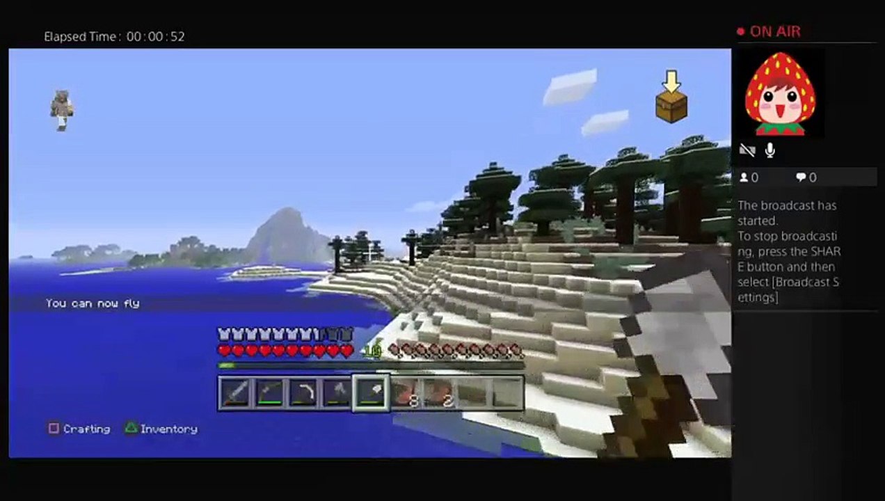 Minecraft 8 (11)