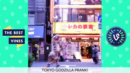 The Ultimate Curtis Lepore Vine Compilation of 2016 with Titles