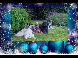 carte de voeux des princes de laroslav