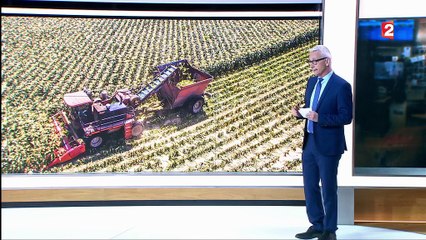 Pourquoi l'agriculture française est-elle en crise ?