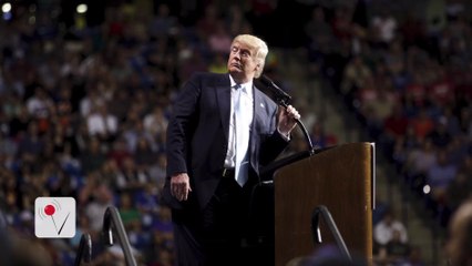 Trump Supporter and Protester He Sucker-Punched Hug it Out