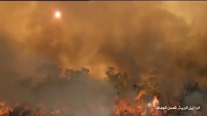 البرازيل البرية تحمل الجفاف