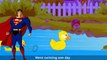 Five Small Ducks English Rhymes | Famous Rhymes For Children | Hits Of Nursery Rhyme