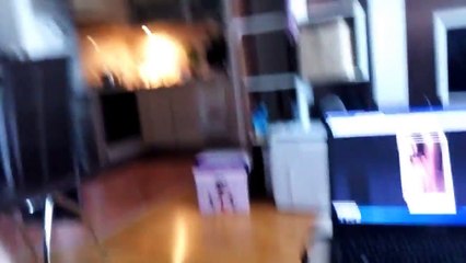 Cat Fails Leap of Faith