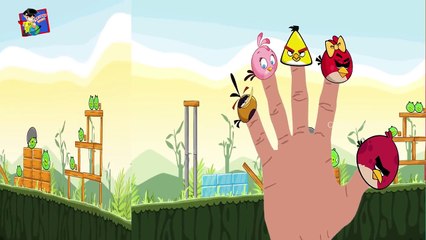 Funny Birds Finger Family | Finger Family Songs | Nursery Rhymes for Kids