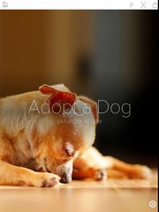 Adobe Slate in 30 Seconds