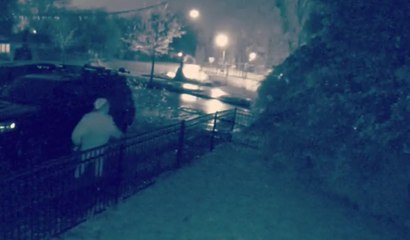 Surveillance Camera Catches Limb Falling During Oregon Ice Storm