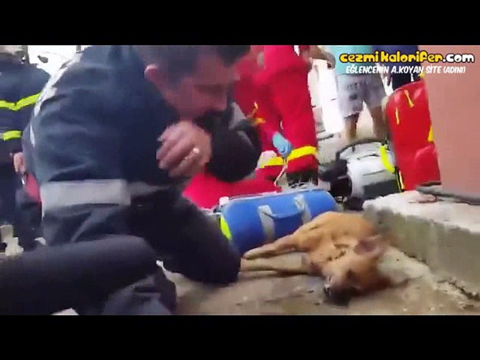 Yangından Kurtardıkları Köpeği Hayata Döndürmek İçin Canla Başla Uğraşan İtfaiye Görevlileri
