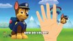 Paw Patrol Finger Family | Nursery Rhymes | 2D Animation From TanggoKids Nursery Rhymes