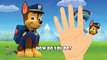 Paw Patrol Finger Family | Nursery Rhymes | 2D Animation From TanggoKids Nursery Rhymes