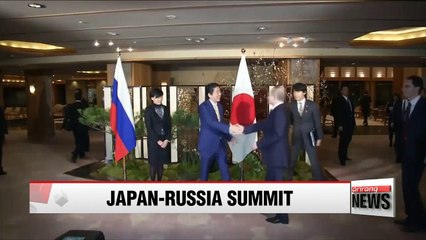 Putin, Abe vow cooperation over islands disputed since World War II