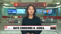 NATO's North Atlantic Council adopts statement condemning N. Korea