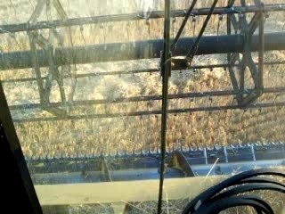 Moisson New Holland TX66 8