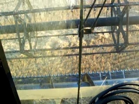 Moisson New Holland TX66 8