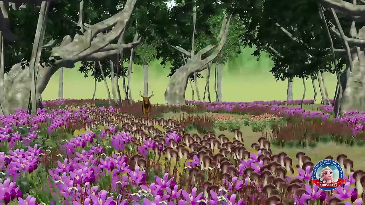 Colors wild animals Finger family 3d animation cartoon - Easter eggs Transport vehicles names Kids