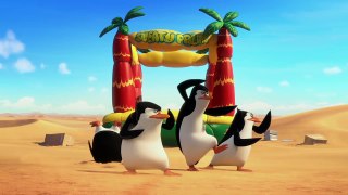 Penguins Of Madagascar - Cheezy Dibbles Ad - International English