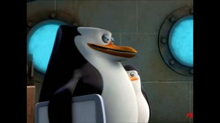 The Penguins of Madagascar - Private's camourflage