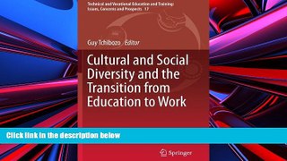Price Cultural and Social Diversity and the Transition from Education to Work (Technical and