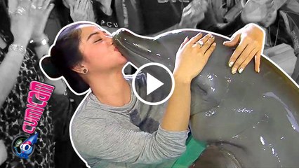 Cium Lumba-lumba Sangat Agresif, Lipstik Depe Terhapus - Cumicam 16 Desember 2016