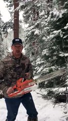 Comment couper un arbre de noël avec une arme de guerre